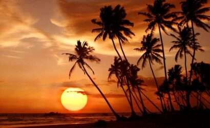 A stunning sunset on a Kerala beach, with the sun setting over the horizon and reflecting on the water."