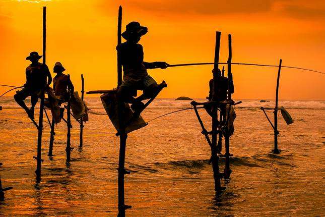 "A stilt fishermen balancing on a wooden pole with his fishing rod in Sri Lanka."