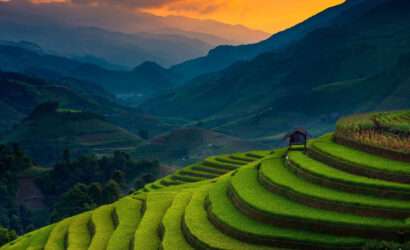 "A scenic view of the hill stations in Ranikhet, with lush green mountains and trees in the foreground, and misty blue hills in the background."