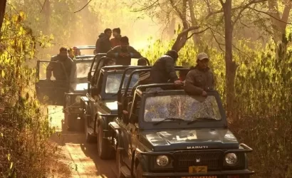 "A Jeep with tourists on an off-road trail, exploring the Sariska National Park in Rajasthan, India during a Jeep Safari, with a scenic natural landscape of hills and trees in the background."