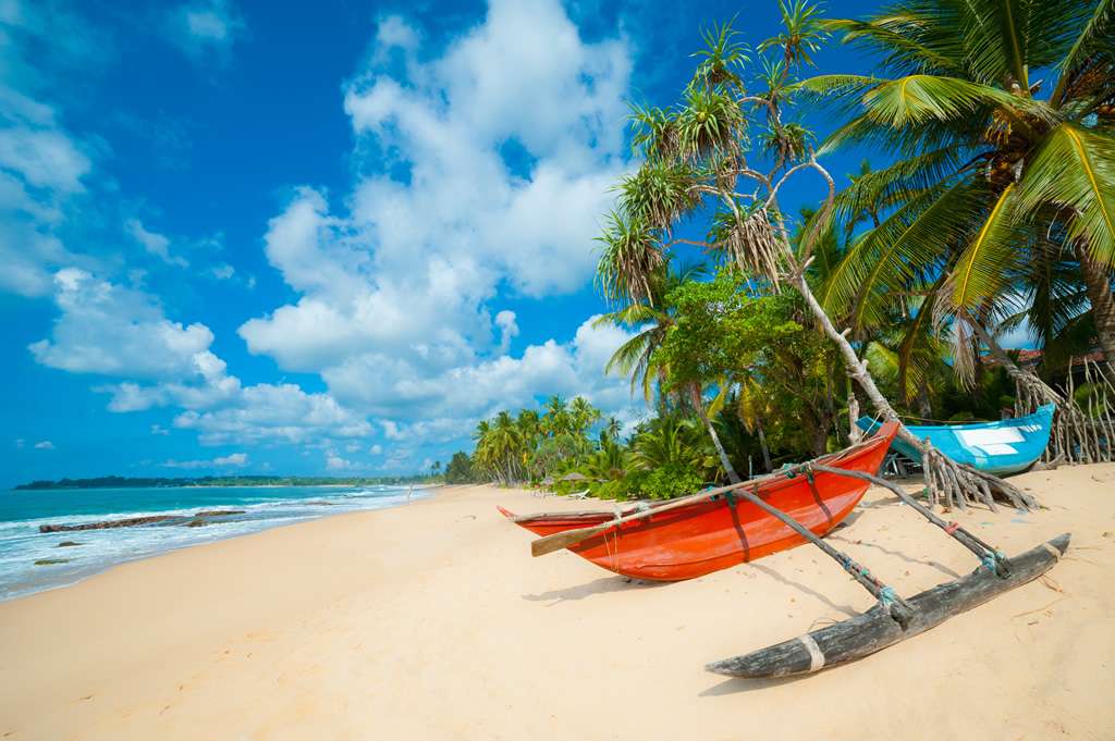 "A boat on the shore of a beautiful beach in Sri Lanka, surrounded by palm trees and clear blue water."