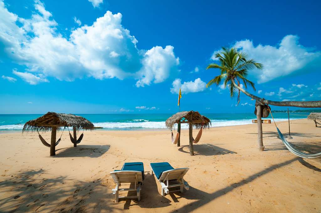 "Foldable chairs and swing beds placed on the sandy shore under the sun on a beach of sri lanka"