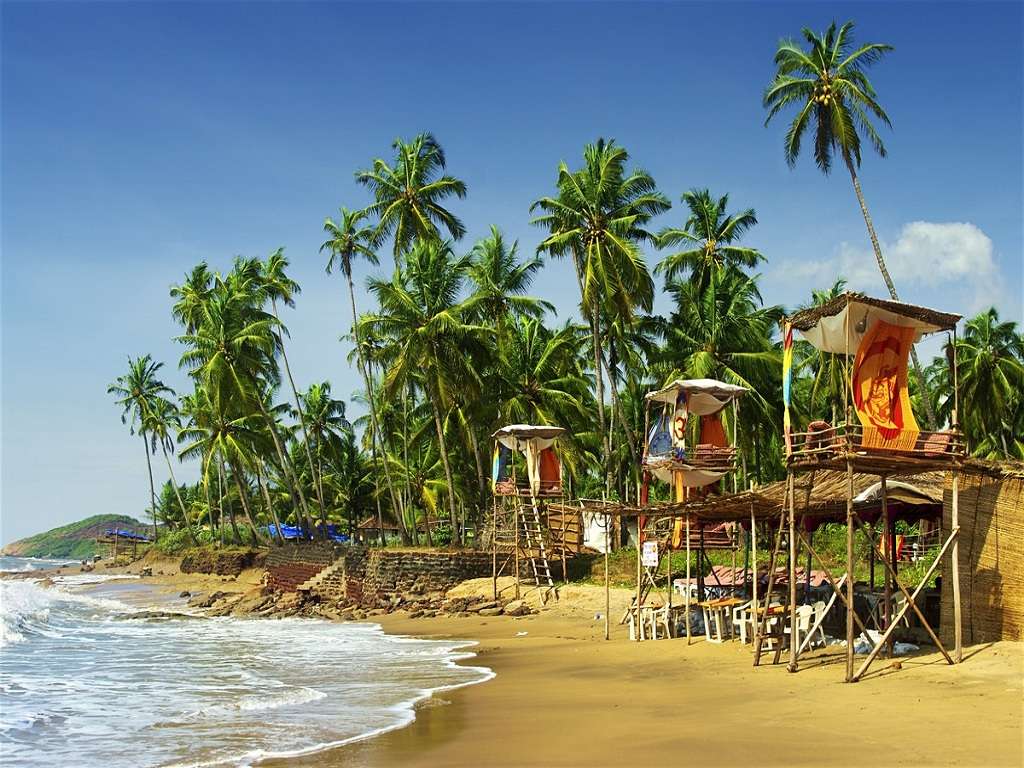 beach with palm trees and a sandy beach in Kerala, India.