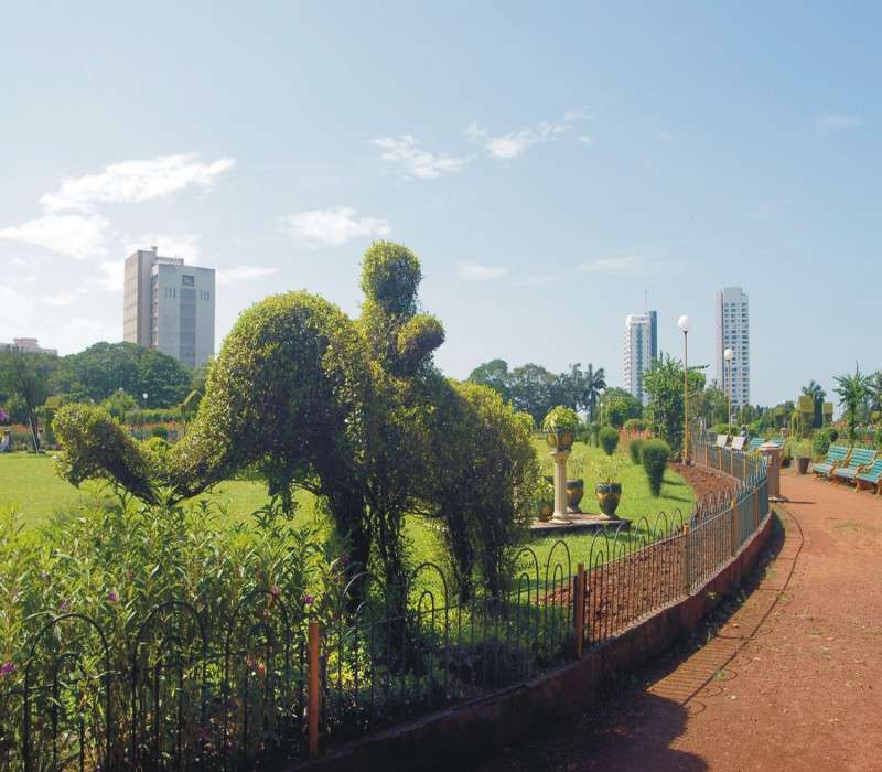 Hanging Garden