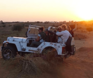 jeep safari activities