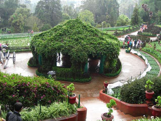 Munnar Tour