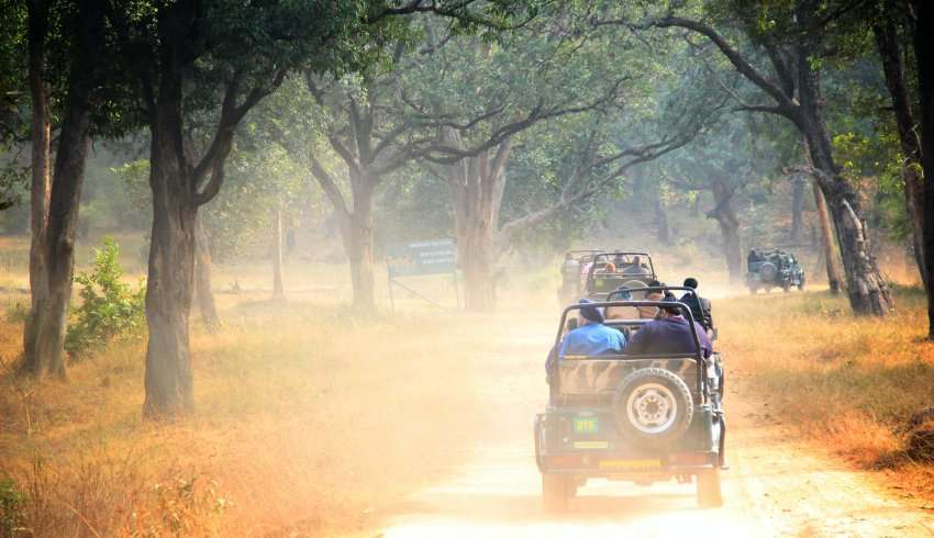 bandhavgarh-national-park