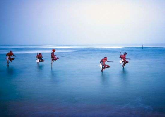 "A group of people standing on a white sandy beach with turquoise blue waters and palm trees in the background, looking out towards the horizon on the Andaman and Nicobar Islands."