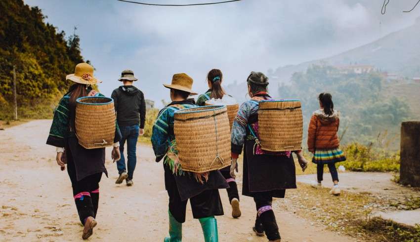 "Tourists walking on the brown sandy path towards the lush green tea plantation on a sunny day"