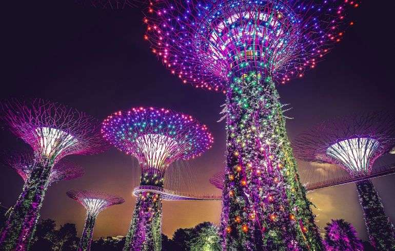 A cluster of vertical gardens shaped like trees with colorful lights on them standing against the dark sky - Supertree Grove in Singapore.