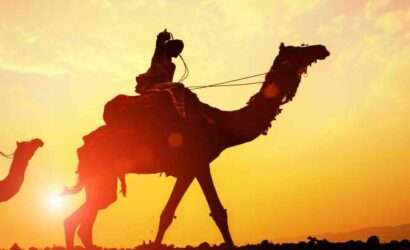 Top 5 Places to visit in Rajasthan