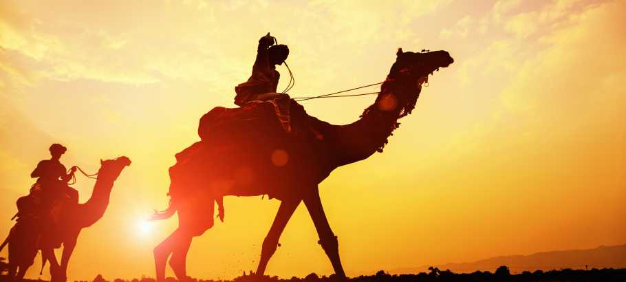 Top 5 Places to visit in Rajasthan