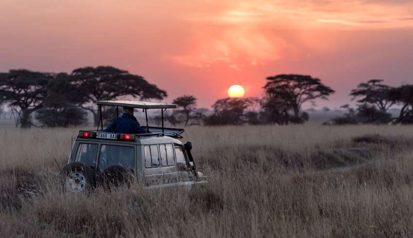 "Jeep safari vehicle driving through the savannah in Africa"