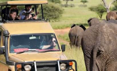 "Tourists on a jeep safari taking pictures of an elephant passing by their vehicle in the wilderness."