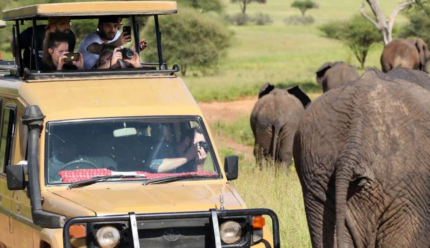 "Tourists on a jeep safari taking pictures of an elephant passing by their vehicle in the wilderness."